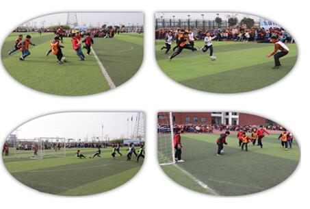 三棵树学校运动会,三棵树小学运动会