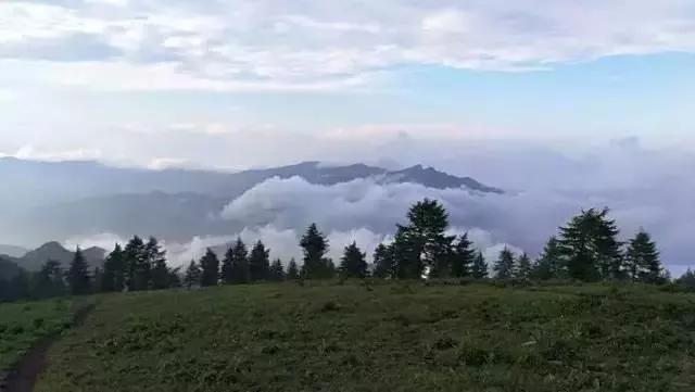 吃在驼梁，体验舌尖上的味道/郝贵云