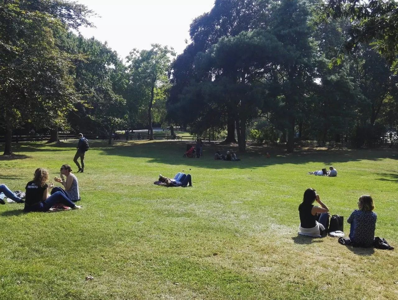 交换手记：皇家墓穴勘探笔记