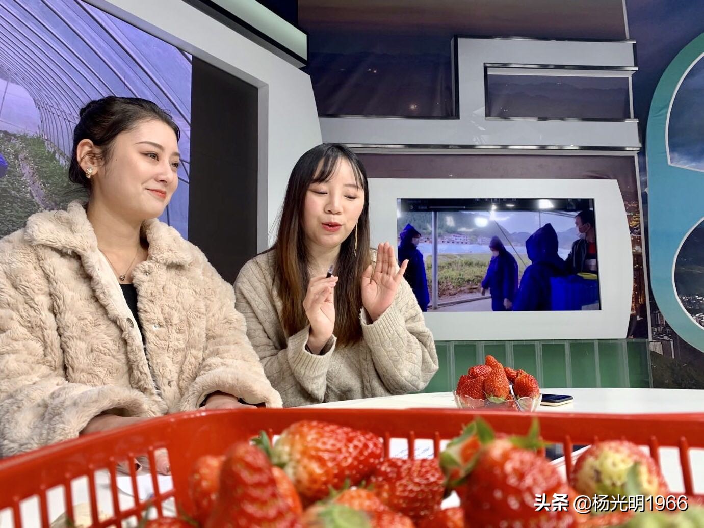 榛斾笢鍗楄嫍鏃忎緱鏃忚嚜娌诲窞鍑噷鑽夎帗 (鍑噷涓嬪徃鑽夎帗澶栭攢鎯呭喌)