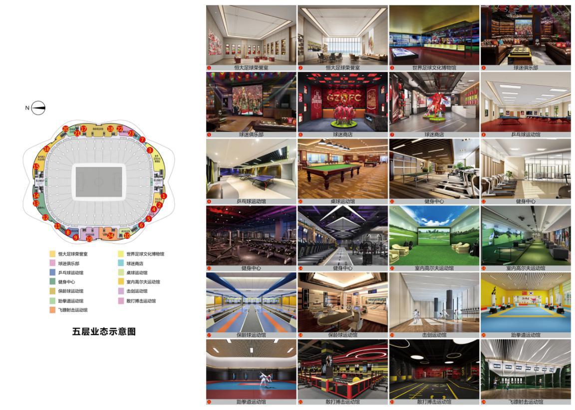 最美荷花盛开,广州恒大新足球场荷花