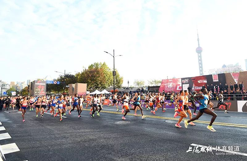上海马拉松最新消息,上海马拉松2019全程