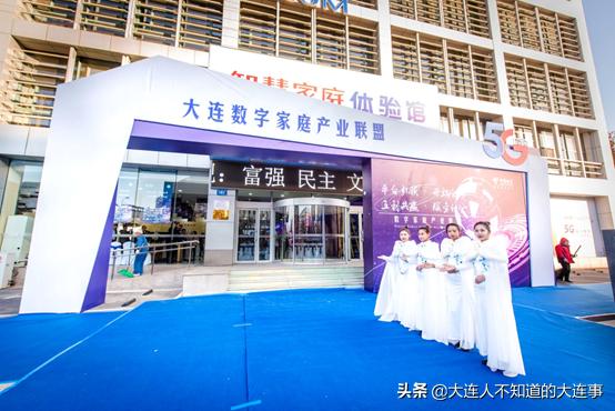 大连电信业务增长,大连电信运营服务