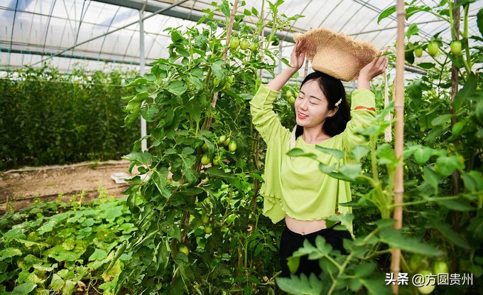 这个夏日，看这个美女如何在浙江乌村的第一百种玩法