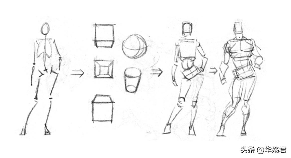 二次元人体结构图素材,二次元人体结构图