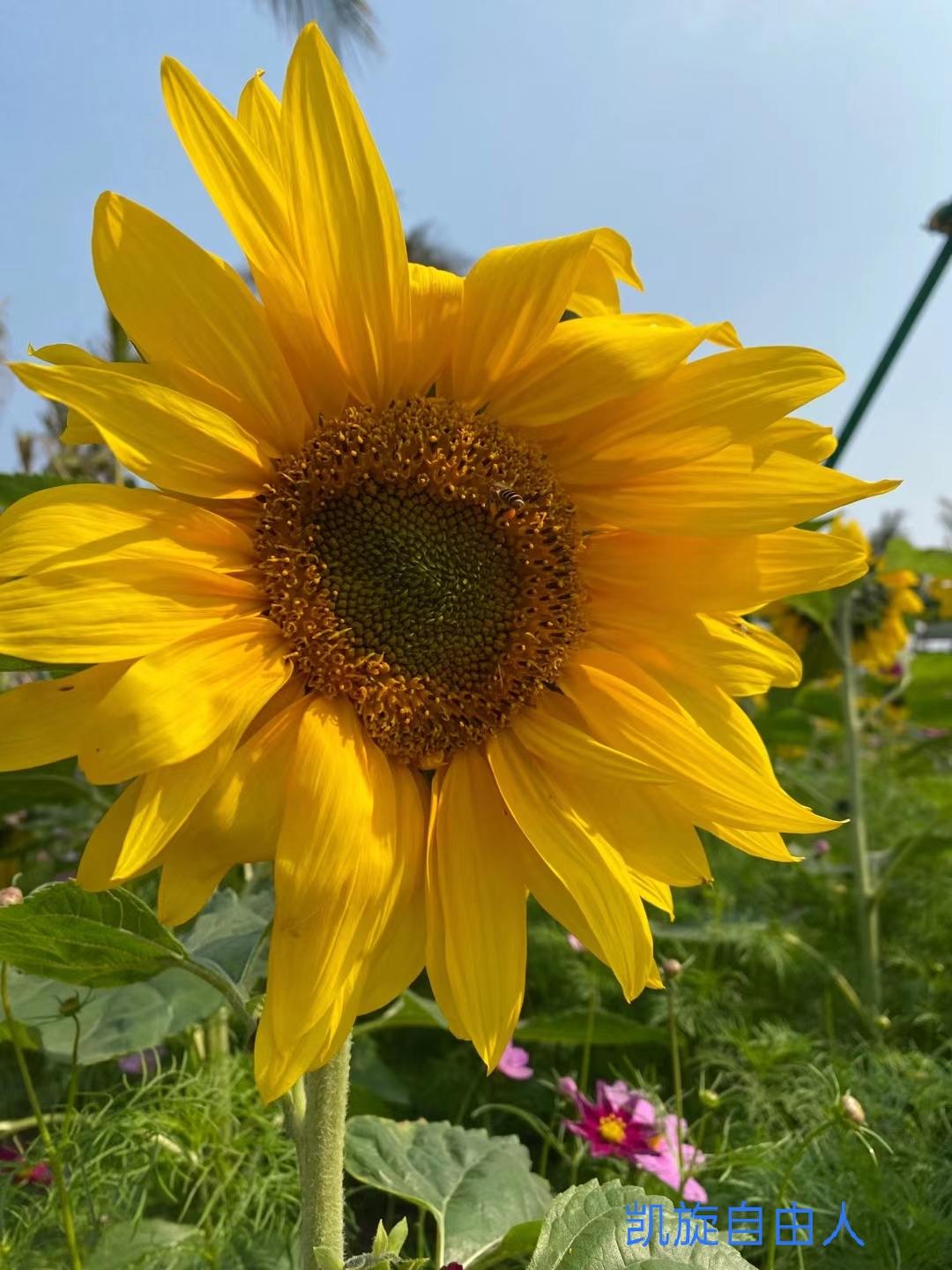 电视剧小舍得是啥寓意,电视剧小舍得怎么样