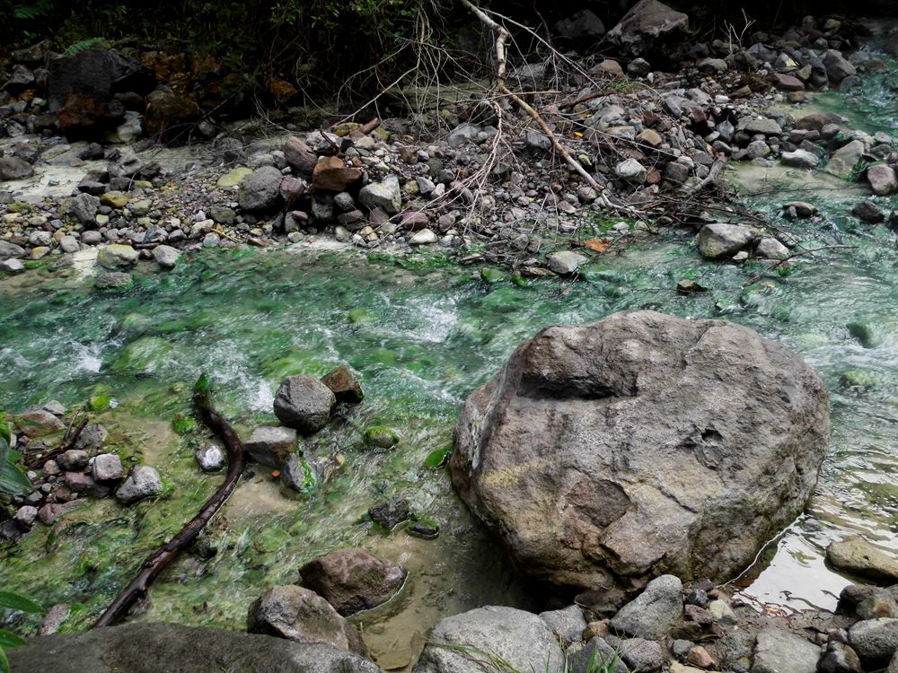 菲律宾游散记（46）-杜马盖地（4）：火山口真正的温泉