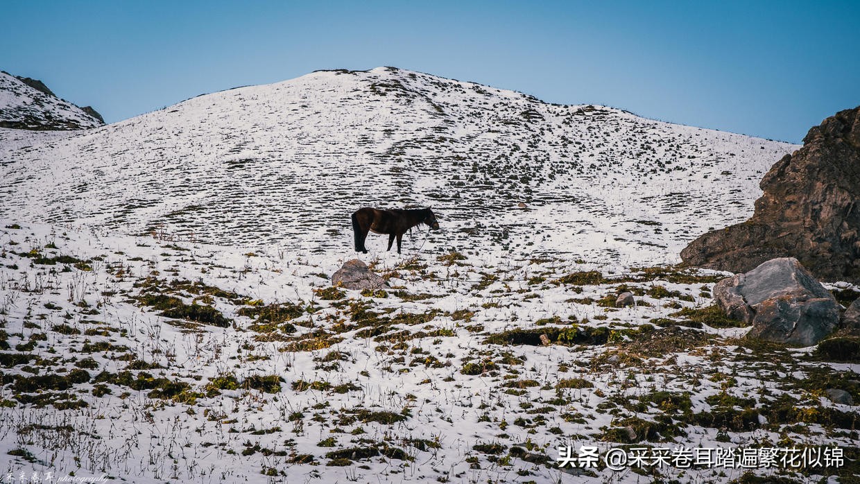 独库公路开放后游玩攻略,独库公路开放前旅游攻略