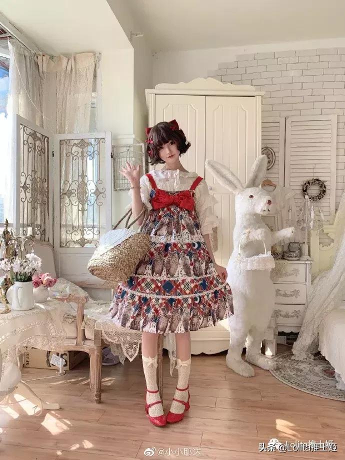 lolita撸猫,lolita撸猫猫