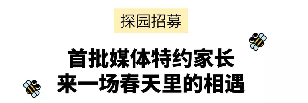 给孩子办生日趴要准备什么,宝宝家庭生日趴活动方案