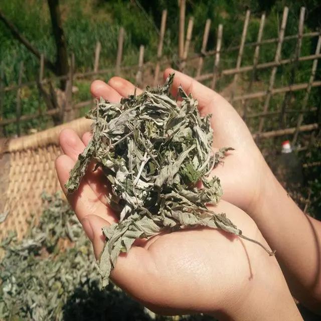 用什么方式灭蚊子,灭蚊子最有效的土方法