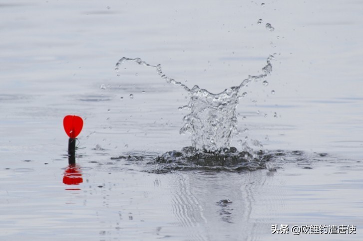 有哪些基础钓法初学者要学会,新手最稳妥的一种钓法