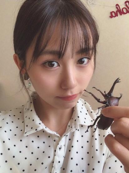 胆真大！曝日本女星将昆虫当食物，直言蟑螂味道像虾