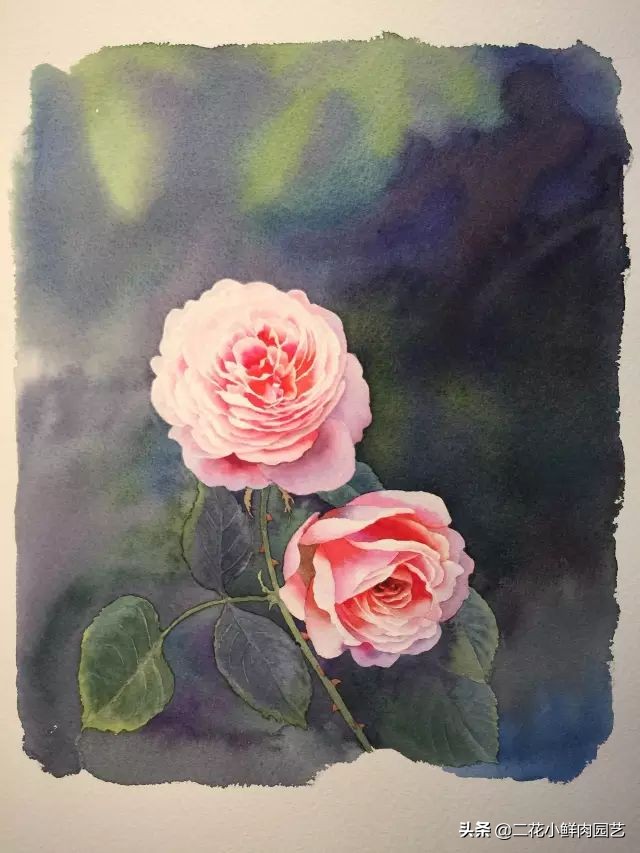 100种花卉绘画,100多张花卉线描手稿素材赶快收藏