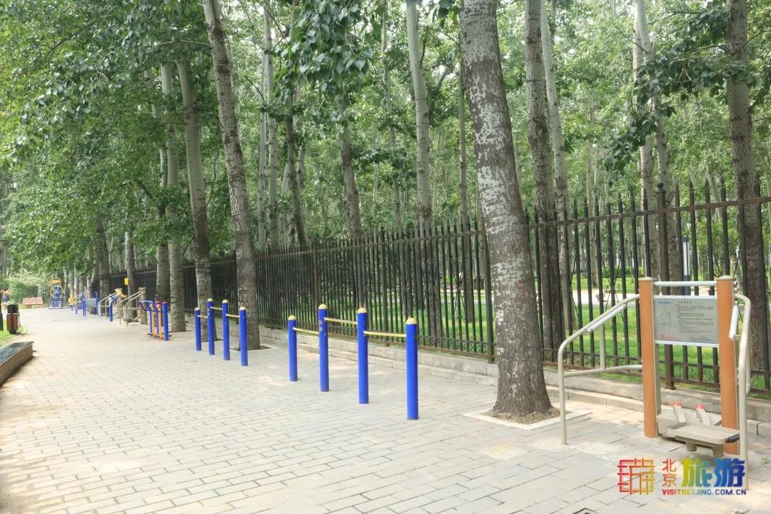 免费！市区就有“小森林”，花海芳香扑鼻！还有美好的祝福送给你