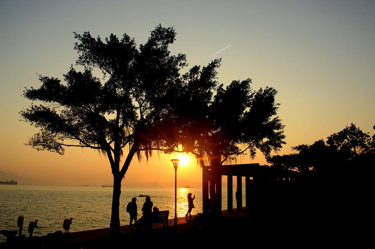 厦门旅游自由行攻略详细介绍,超详细的厦门旅游攻略