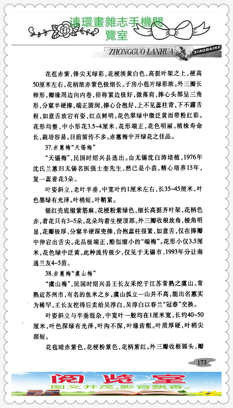 中国兰花的品种图片,中国兰花小百科书籍有哪些