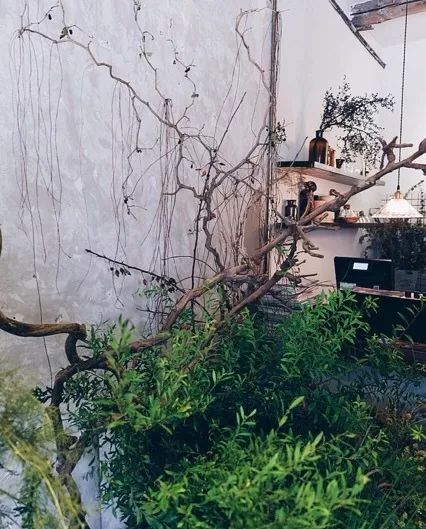 北京最美花店,她放弃了总监职位后续