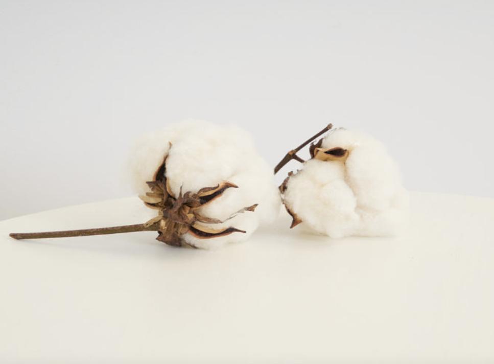 冬天可以裸睡的四件套,四件套冬季裸睡推荐