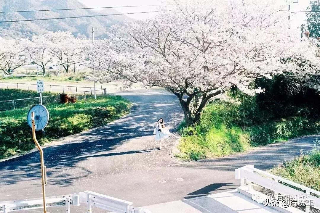 去日本必买的药妆十样,去日本必买樱花类的纪念品