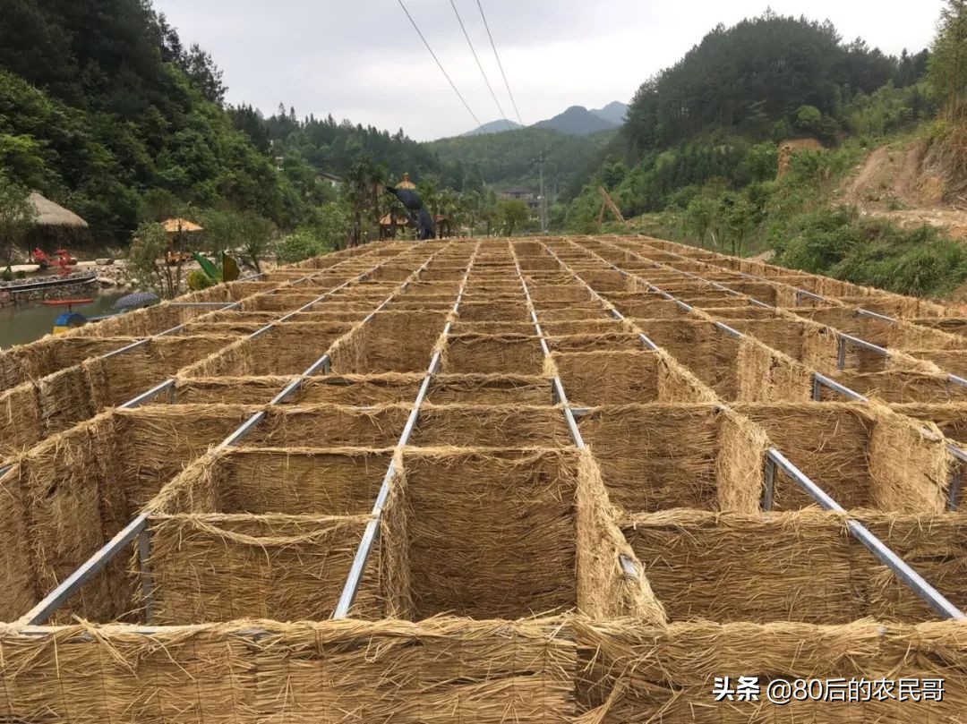 农家乐里的废物变废为宝,农业废物的处理和利用方法