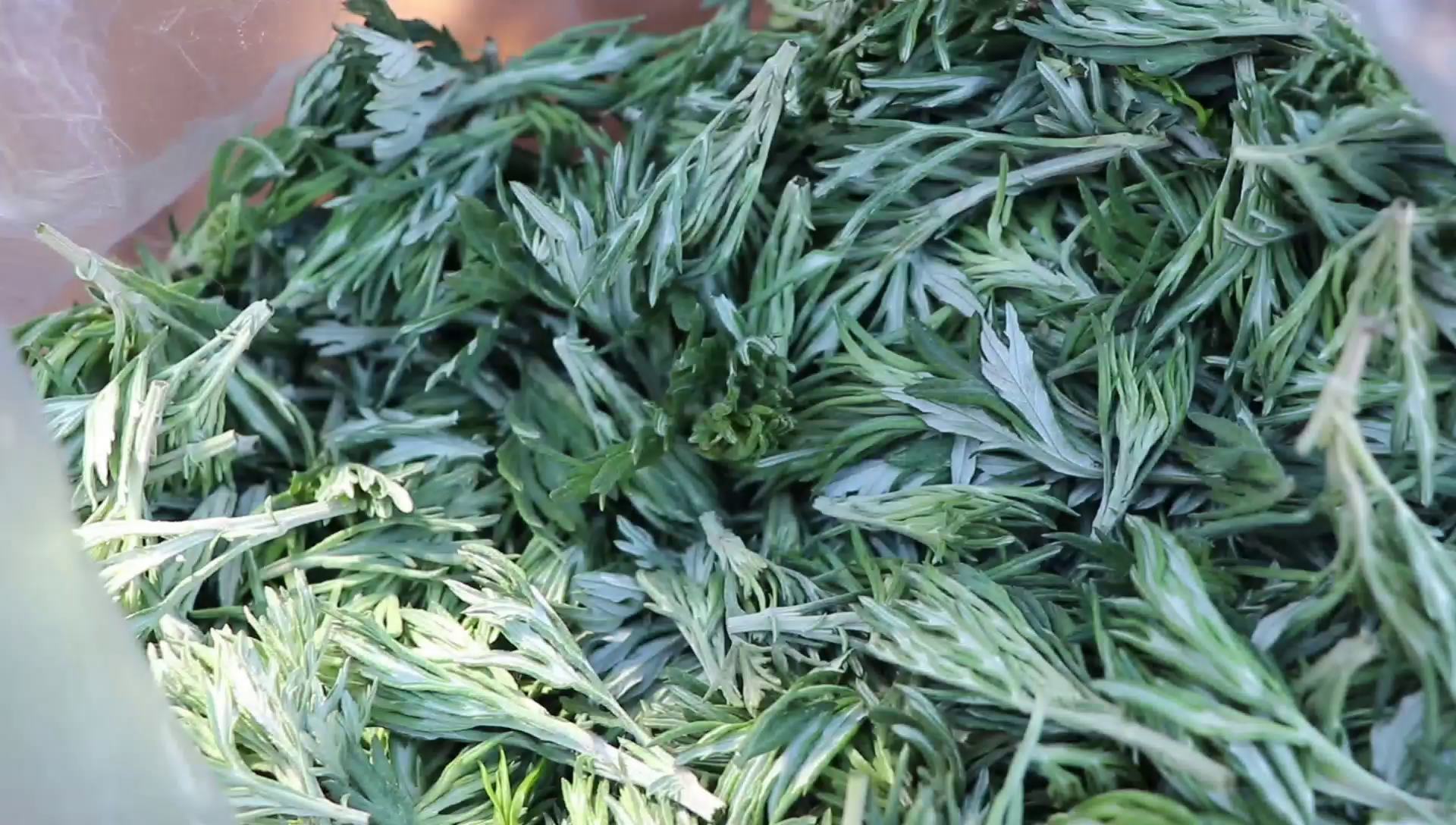 艾叶茶制作配方,艾叶头怎么做成艾叶茶