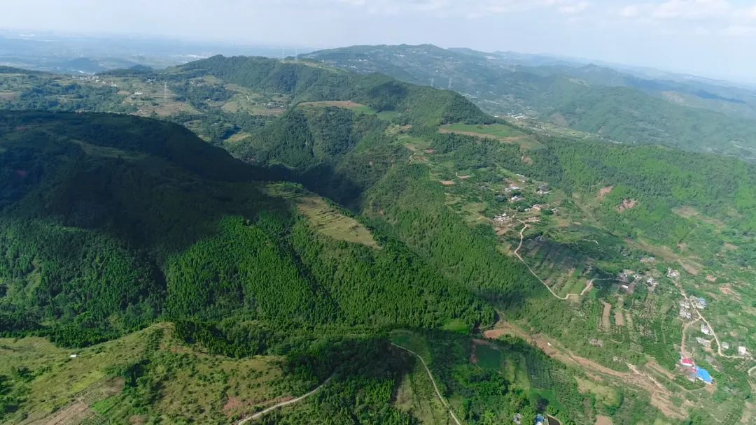 多彩新区,你pick谁?