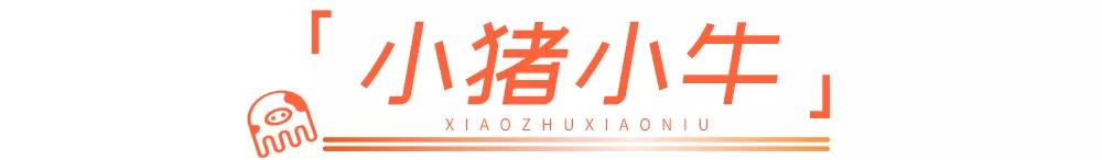 邯郸小猪水煎肉套餐,小猪小牛水煎肉邯郸万达店