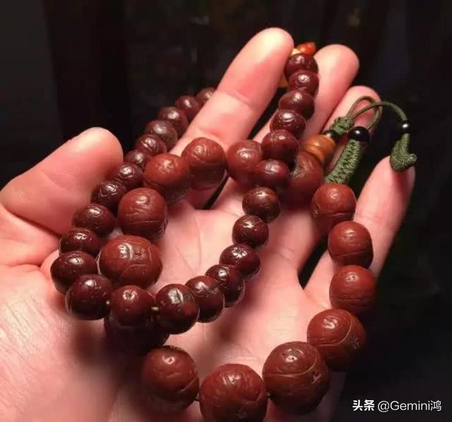 凤眼菩提浸水后这样处理最便捷