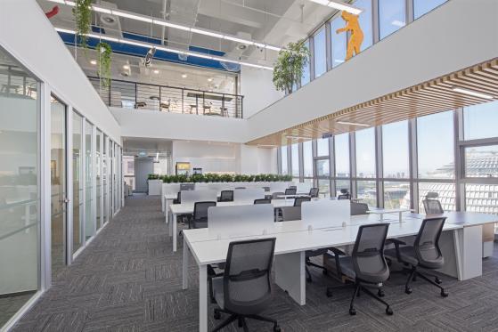 立信会计师事务所环境,立信会计师