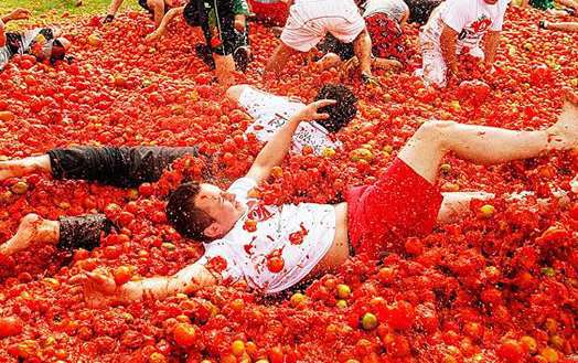 Check，你的完美假期守护神前来报到