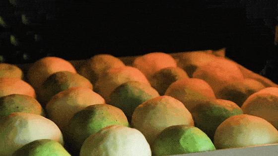 过年挑对了电器，七大姑八大姨来吃饭都不怕，爸妈夸我会省钱