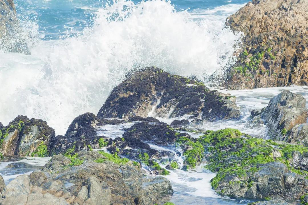 香港必打卡十大景点,香港必打卡的地方