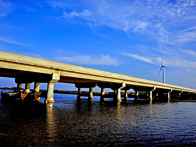 南通梭子蟹特产,江苏南通港梭子蟹