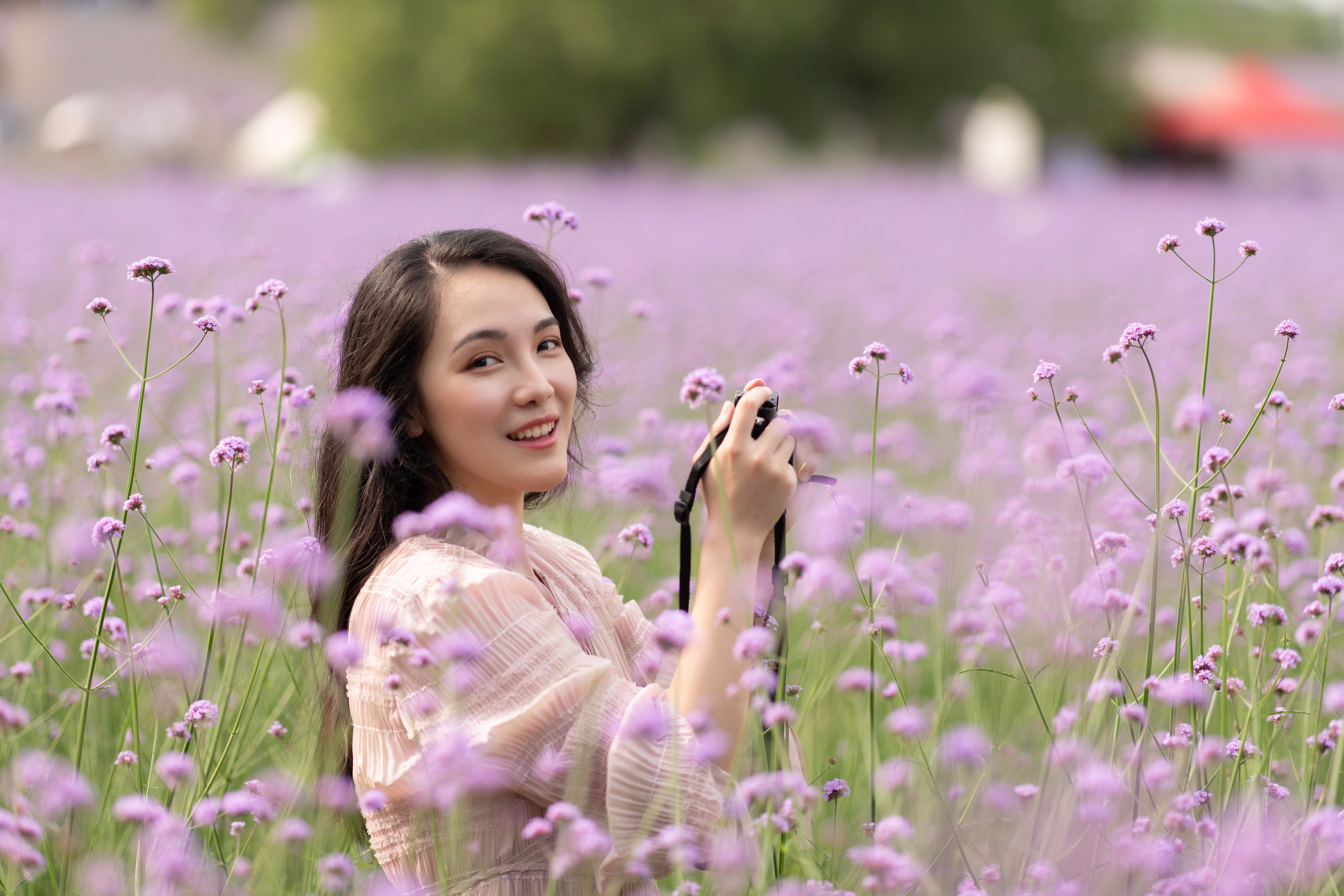 迟到的618好物推荐,618影像神器