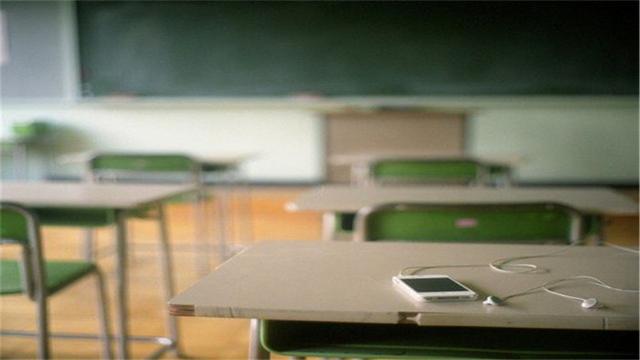 上海21所国际学校课程,上海21所国际学校