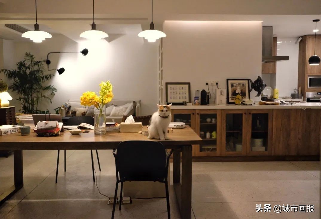 switch动森里的家,动森里的switch