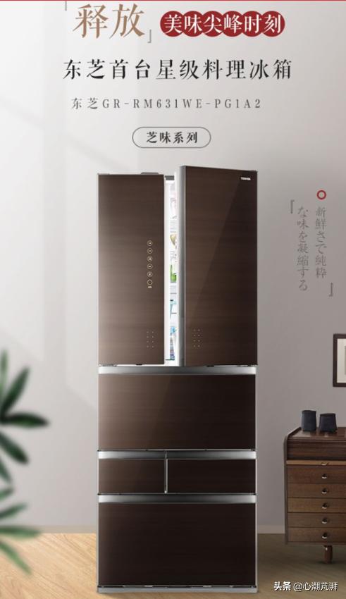 日系德系冰箱对比,德系和日系冰箱哪个好