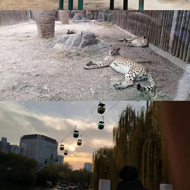 郑州美食店鳥蘭烧肉,建业凯旋广场店日式烤肉