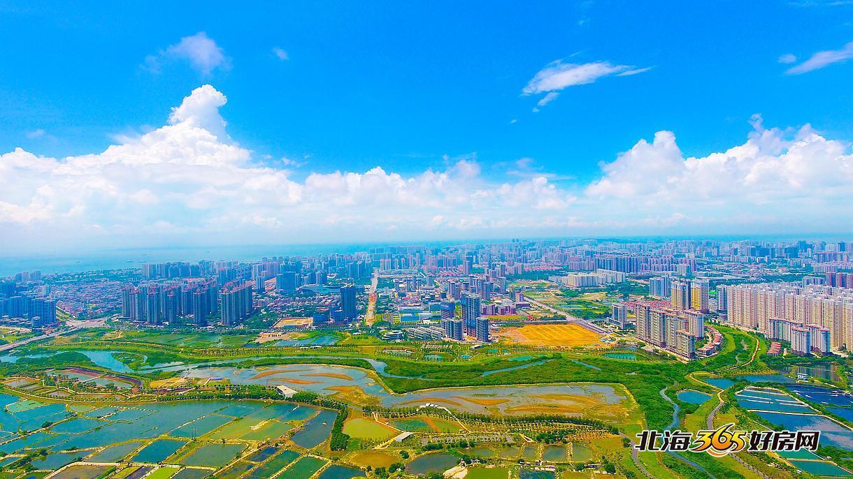 房租到期房东收回感慨万千,房租大幅下调房东欲哭无泪