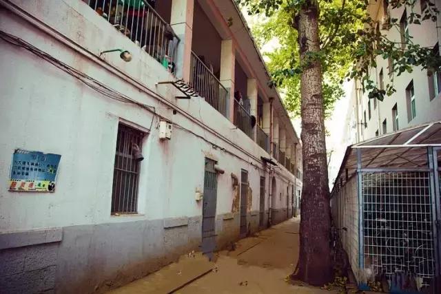 灞卞笀闄勪腑鍒嗘牎,鑿忔辰灞卞笀闄勪腑