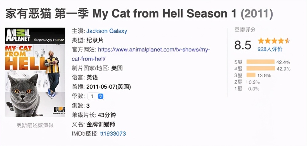 猫为什么总凶别人,猫为什么凶新来家的小猫