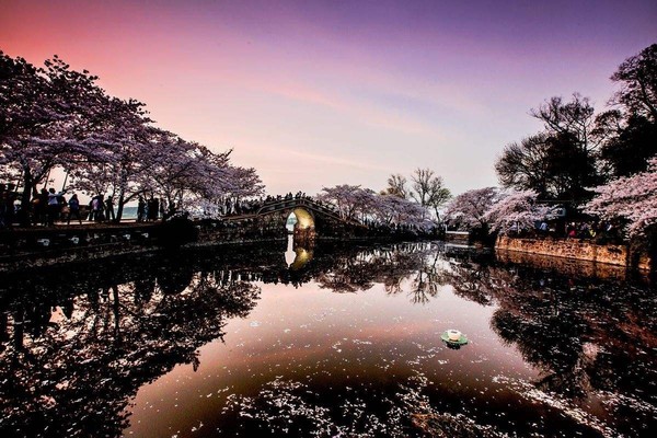 清明时节吃什么美食,清明时节江南地区要吃哪种美食
