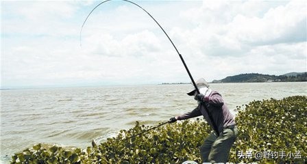 阴雨天钓鱼抛竿技巧图解,野钓大风天怎么抛竿快呢