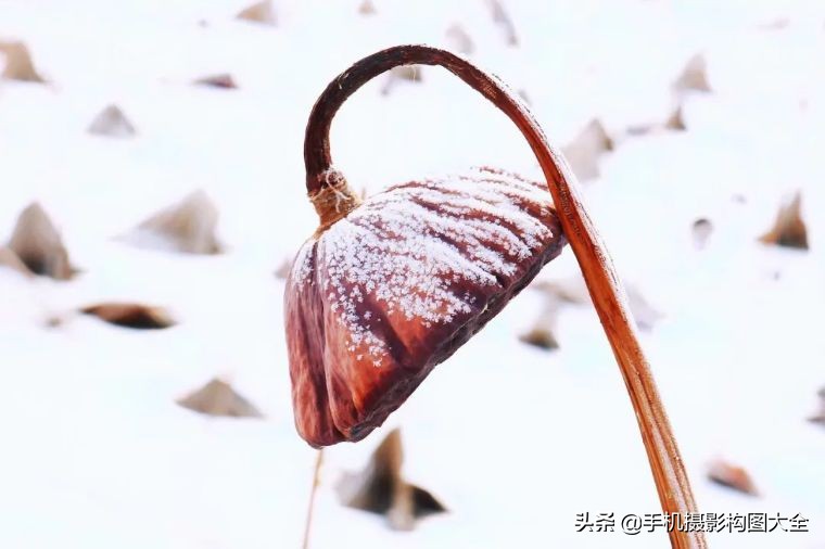 24-70拍人像使用技巧,24种手机拍摄技巧图片