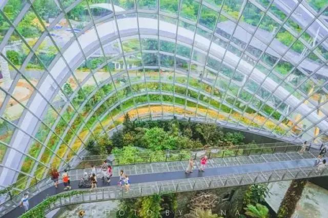 新加坡旅游必吃攻略,来新加坡旅游去哪里吃