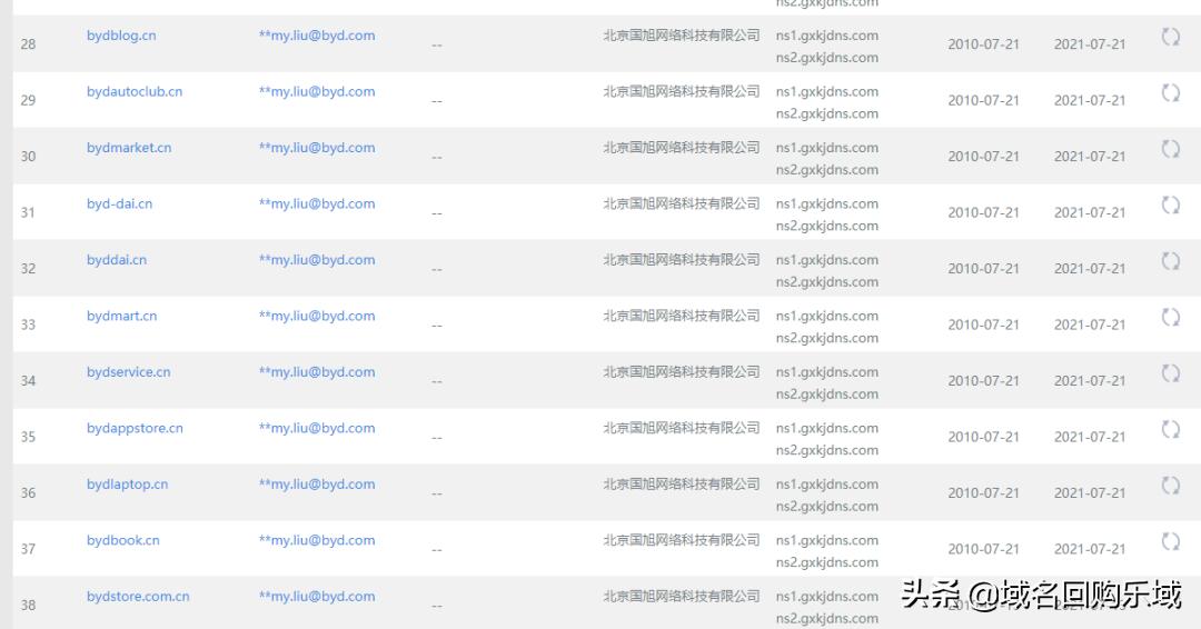如此“低调”的国产新能源汽车宠儿，域名也厉害了