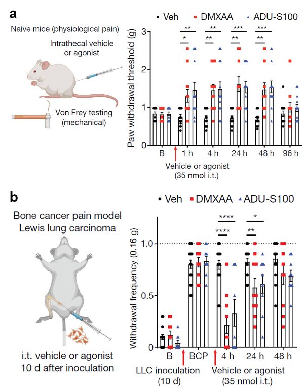 腰酸背痛吃点补品,腰酸背痛喝中药有效果吗