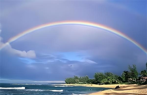 劣币驱赶良币社会现象,劣良币驱逐现实中存在吗