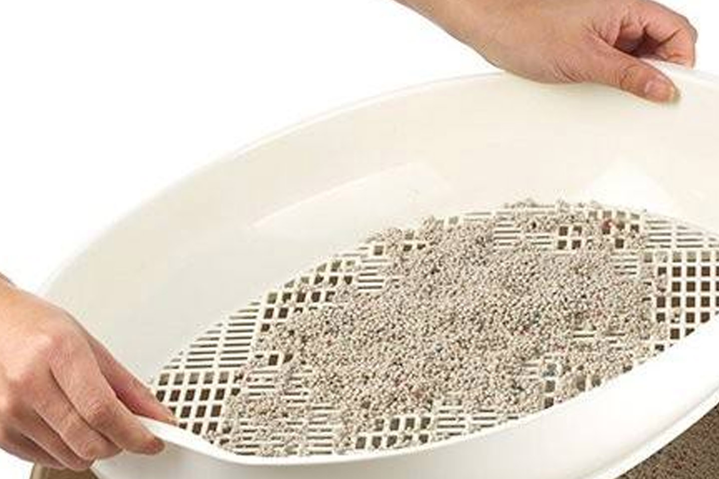 猫咪往被子上撒尿怎么解决,猫咪总在地毯上撒尿臭味怎么去除